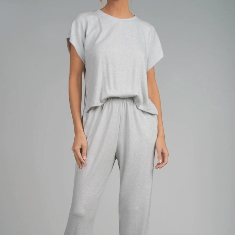 Elan Silver Jumpsuit  *New W/ Tag*